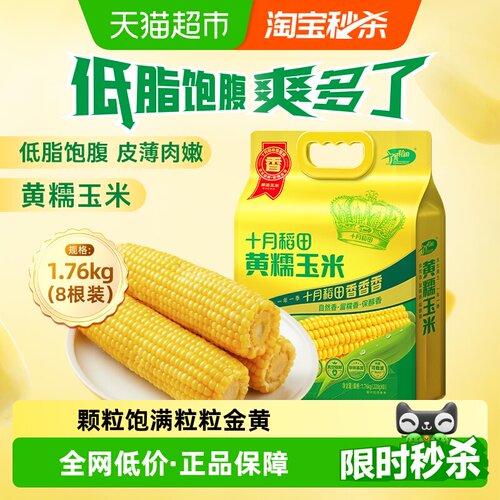 十月稻田黄糯玉米棒低脂