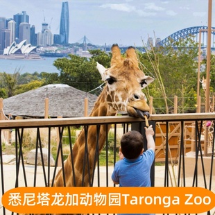可订当天快速出票澳大利亚悉尼塔龙加动物园门票Taronga 大门票 Zoo 塔龙加动物园