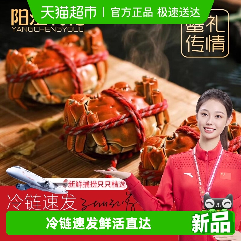 阳澄有礼大闸蟹活蟹去绳足两