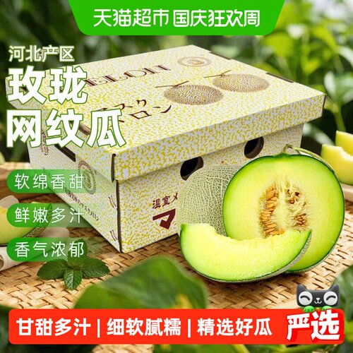 JOYTREE欢乐果园玫珑蜜瓜送礼
