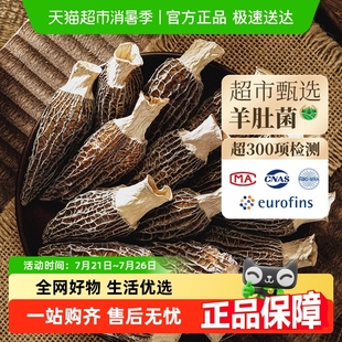云南头茬特级甄选剪柄羊肚菌菇干货非新鲜正品 煲汤孕妇儿童