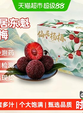 京运达正宗仙居杨梅