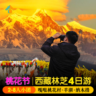 4-8人供氧团 林芝4日游桃花节沟西藏旅游拉萨南迦巴瓦峰纳木措4天
