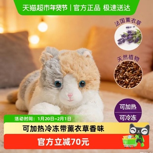 英国warmies花脸猫可爱毛绒玩偶公仔陪伴送礼可加热情侣薰衣草