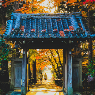 日本名古屋自由行4天3晚旅行机票+酒店 热田神宫乐高乐园大须观音