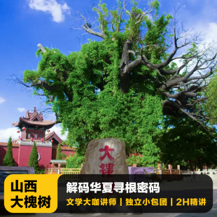 猩咖说山西临汾大槐树含门票大咖2H小包团讲解山西旅游含耳机