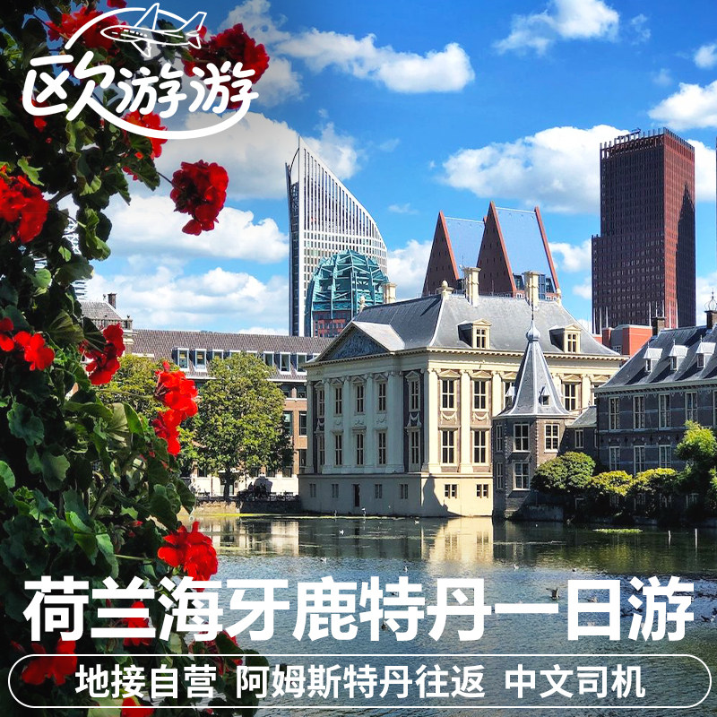 荷兰鹿特丹海牙一日游包车私家团阿姆斯特丹往返酒店接送中文司机