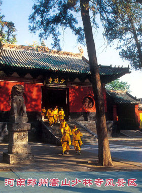 [少林寺-大门票]河南郑州嵩山少林寺景区门票 刷身份证入园