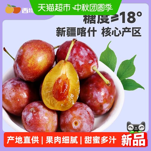 西域美农新疆西梅法兰西西梅