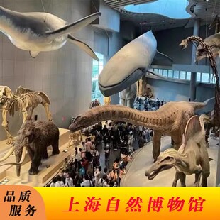 上海游玩看自然博物馆 参观看球幕非洲大草原 熊猫滚滚 蛟龙入海