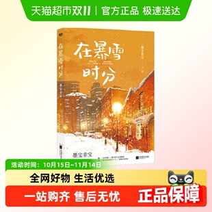 墨宝非宝 在暴雪时分实体小说书 吴磊赵今麦主演 贴纸 海报