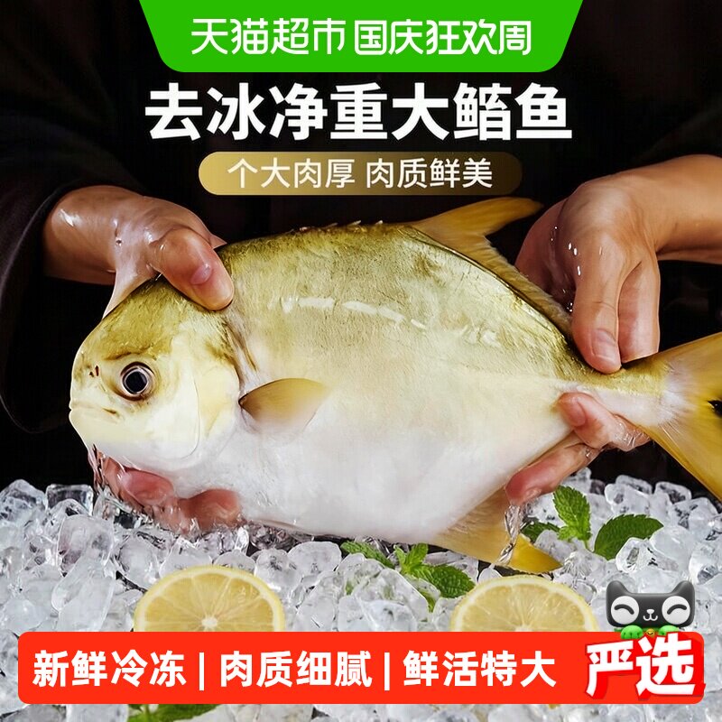 金鲳鱼刺少肉多新鲜冷冻图片