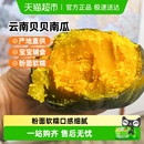 贝贝南瓜板香粉糯细腻贝贝南瓜粗粮早餐蔬菜 下拉详情有优惠