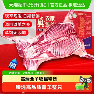 羊肉新鲜现杀鲜切宁夏滩羊肉礼盒全羊整只盐池羔羊腿羊排烧烤年货