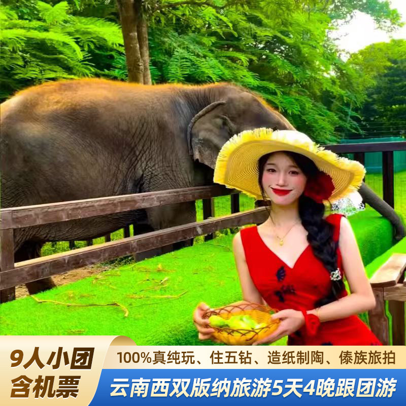 【包机票9人小团不去傣族村寨】云南纯玩旅游团西双版纳5天住五钻,度假线路/签证送关/旅游服务,境内跟团游,淘宝优惠券,粉丝福利购,淘宝优惠卷