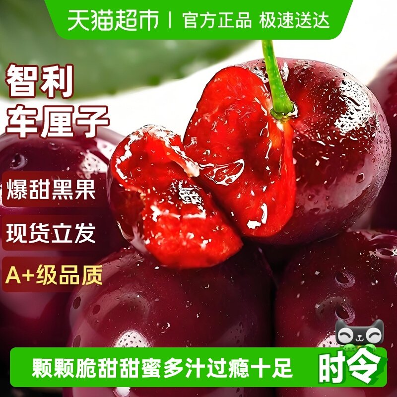 智利进口车厘子新鲜水果礼盒应当季大樱桃345J整箱现货立发年货斤,水产肉类/新鲜蔬果/熟食,车厘子/樱桃,淘宝优惠券,粉丝福利购,淘宝优惠卷