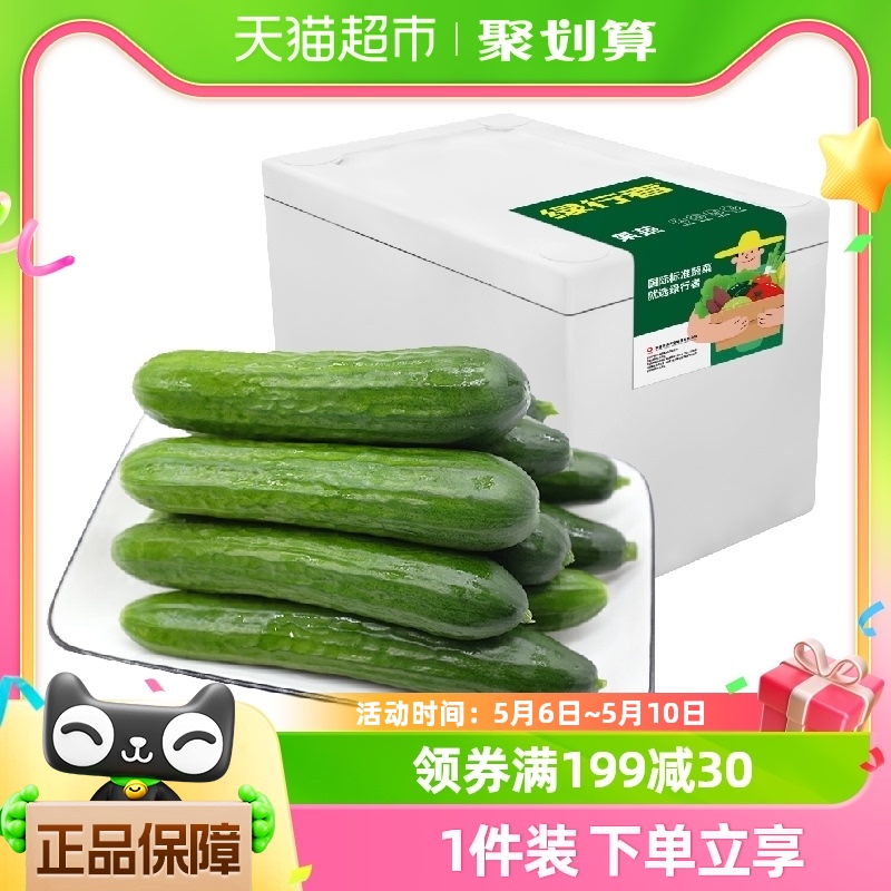 绿行者水果黄瓜2.5kg×1箱