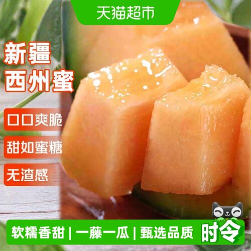 寻天果蔬新疆西州密瓜