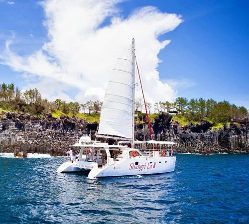韩国济州岛太平洋号游艇观光出海海钓体验西归浦Marina游艇