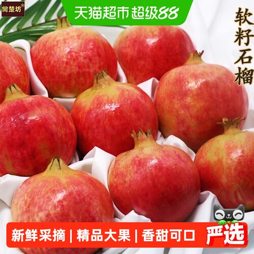 四川突尼斯软籽石榴新鲜水果大果