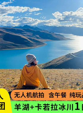 羊湖卡若拉冰川1日游