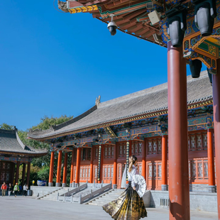 成都出发郑州博物院+嵩山少林寺+动物王国2天1晚精品纯玩游