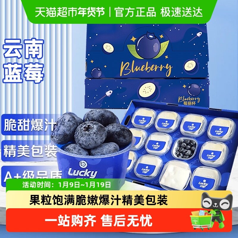 云南蓝莓礼盒装鲜果新鲜水果超大果巨无霸高山花香蓝梅应当季整箱