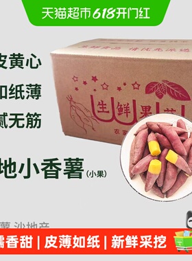 薯小萌天目山小香薯新鲜现挖皮薄粉糯香甜精选小果蒸煮用