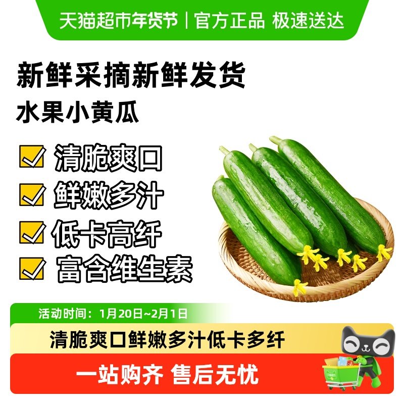 【页补贴折上折】水果黄瓜生吃蘸酱荷兰无刺时令白玉黄蔬菜水,水产肉类/新鲜蔬果/熟食,黄瓜,淘宝优惠券,粉丝福利购,淘宝优惠卷