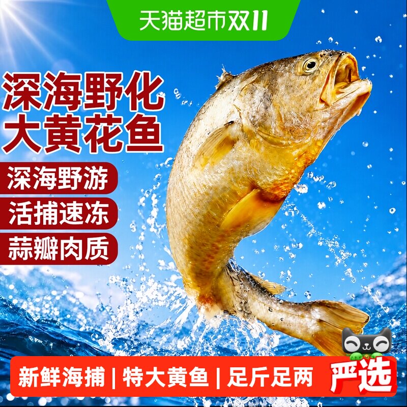 深海野生黄花鱼新鲜冷冻大黄鱼野化正宗宁德海鱼小黄鱼商用食材