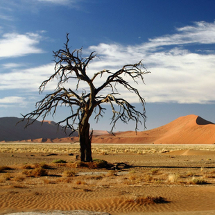 纳米比亚签证电子签证旅游商务签证探亲签证加急