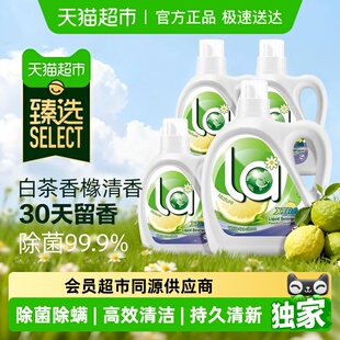 la自然除菌洗衣液套装 白茶香橼 Walch威露士 臻选下拉享优惠