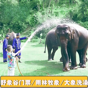 【门票代订】云南西双版纳野象谷门票/野象谷雨林牧象/大象洗澡预定