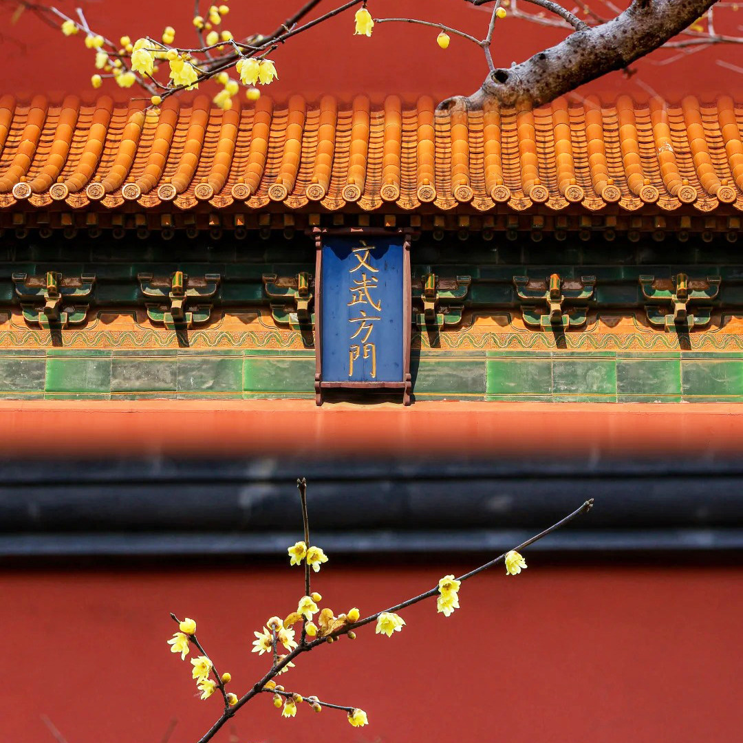 私家团/南京总统府+中山陵+明境内跟团游