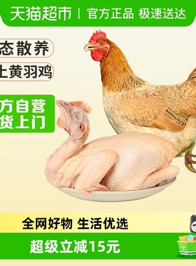 温氏天露三黄鸡散养土鸡农村慢养走地鸡正宗土鸡肉生鲜食品