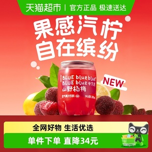 柠檬共和国饮料添加nfc果汁杨梅原汁含气果汁200ml 气泡水 8小瓶装
