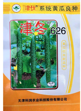 蔬菜耐低温高产春季越冬黄瓜种子