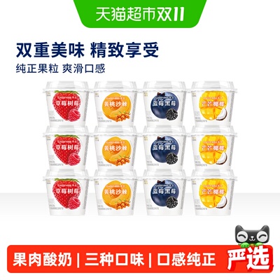 卡士果粒酸奶多口味低温酸奶组合