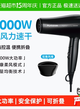 飞科电吹风机家用大功率可折叠宿舍不伤发速干电吹风筒FH6231