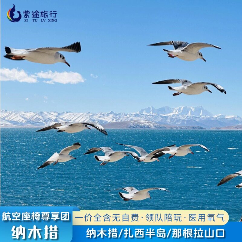 航空座椅+医用氧气+领队陪玩！纳木措仅此一家的尊享团，告别缺氧