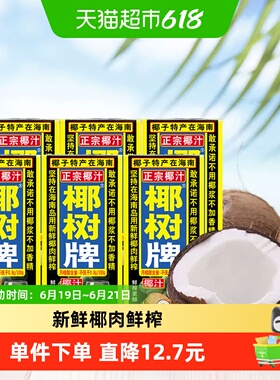 椰树椰奶正宗椰树牌植物蛋白饮料椰汁245ml×6盒海南特产