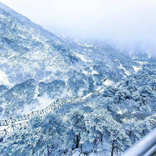 [苍山洗马潭索道-苍山洗马潭索道全程]含门票+索道往返