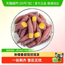 薯小萌天目山小香薯新鲜现挖皮薄粉糯香甜精选小果蒸煮用黄心番薯
