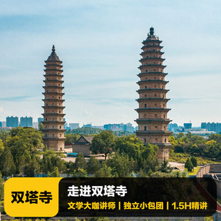 猩咖说山西省双塔寺含门票1.5H文史大咖人工讲解小包团太原旅游