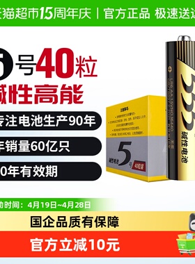 555电池5号碱性干电池无汞40粒装AA 1.5V鼠标/玩具/空调/遥控器