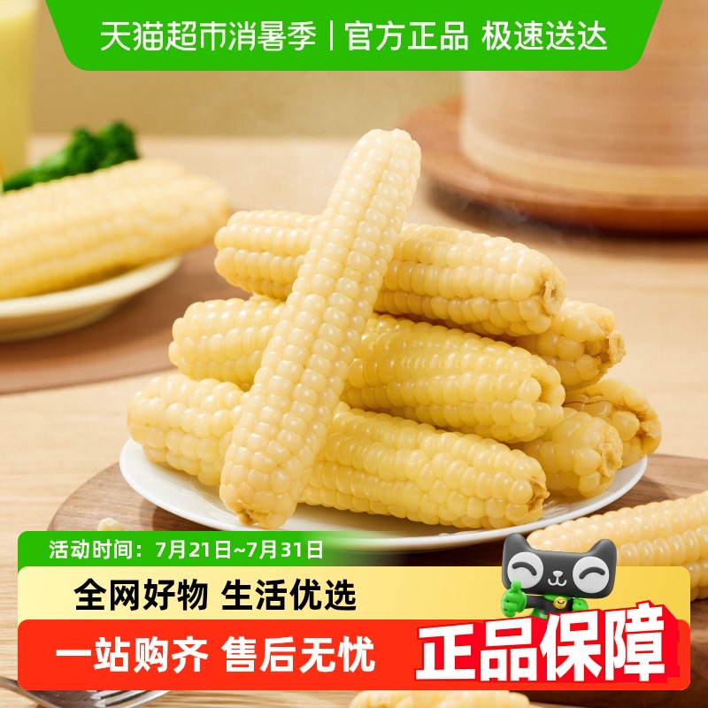 西双版纳拇指小玉米米