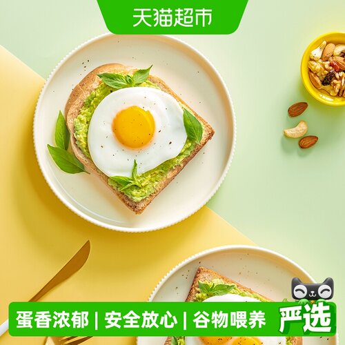 温氏食品谷物喂养鸡蛋1.5kg