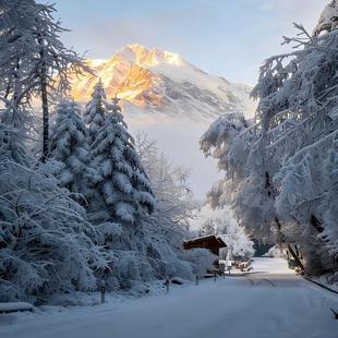 成都-海螺沟一日游直通车 泸定桥 磨西镇  可选+门票 直达纯玩