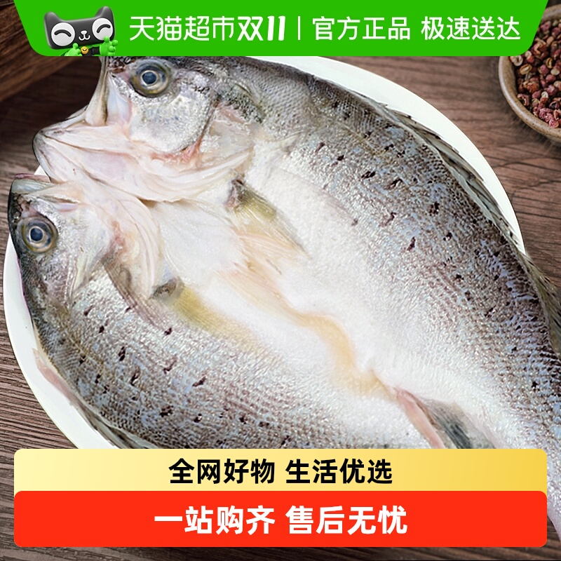 鲜驰三去开背海鲈鱼500g×3条
