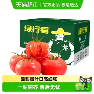 绿行者沙瓤粉番茄新鲜采摘生吃沙瓤老味道番茄